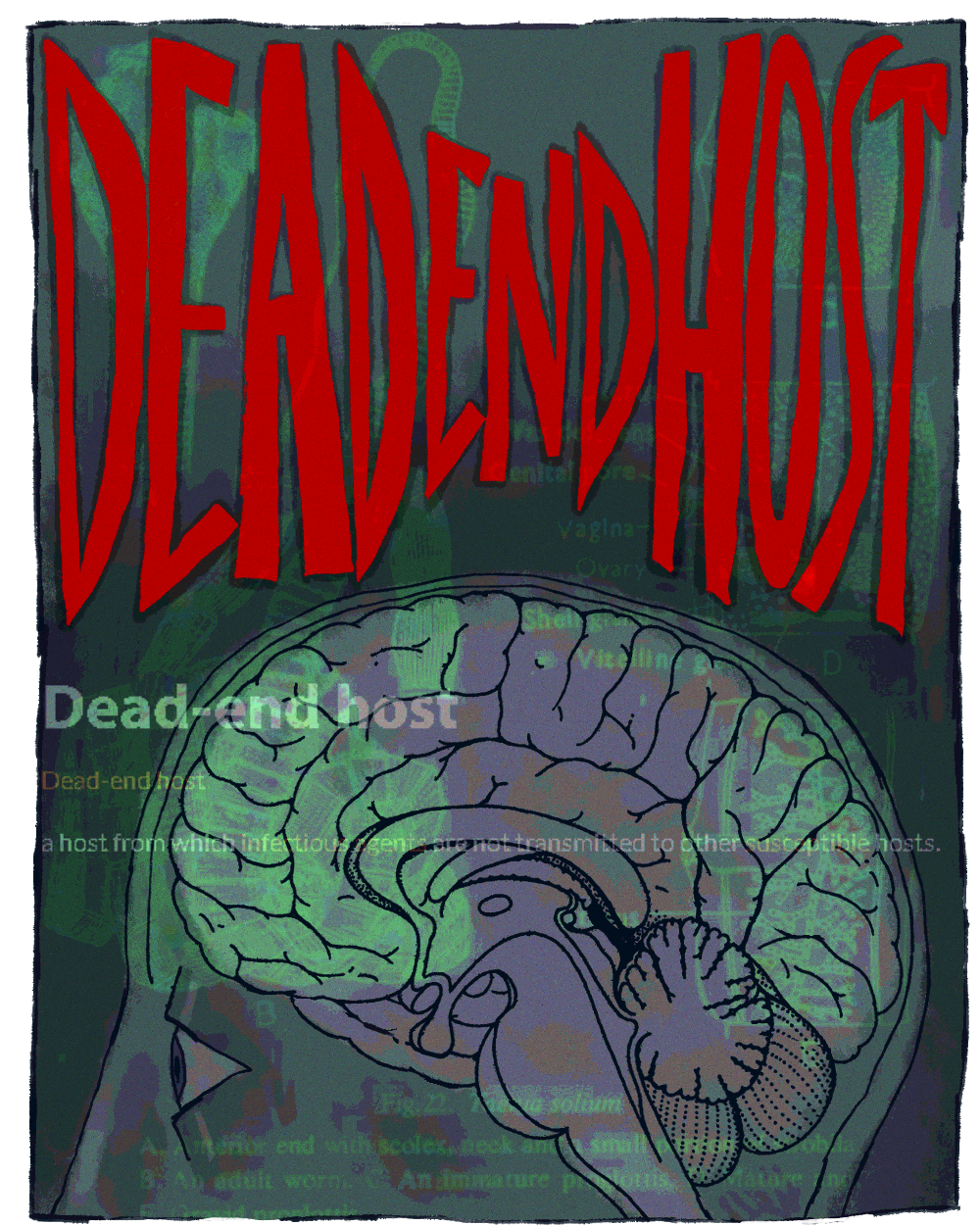 Dead End Host